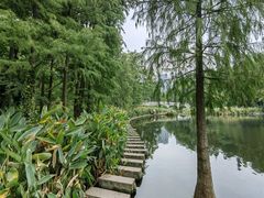 -重庆彩云湖湿地公园