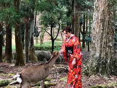 -枫雅和服体验(奈良店)