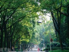 -中南财经政法大学(首义校区)