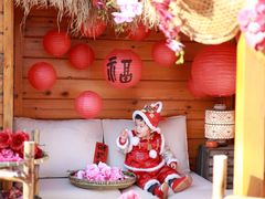 -禧宴Joyous Restaurant(禧园店)
