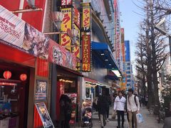 -秋叶原电器街