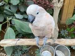 -南宫五洲植物乐园