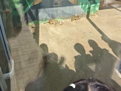-秦皇岛野生动物园