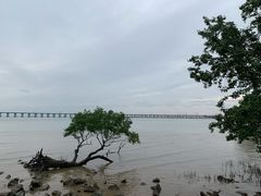 -宝安西湾红树林湿地公园