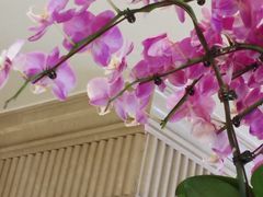 -大梅沙海鲜汇(岳麓店)