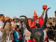 -上海都市菜园
