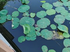 -苏州吴中太湖旅游区