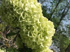 -苏州上方山国家森林公园