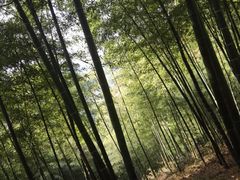 -藏龙百瀑风景区