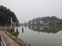 -鲁镇