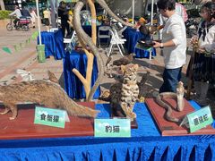 -VT101维多利广场