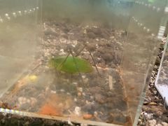 -上海昆虫博物馆