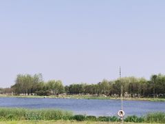 -滨湖塘西河公园