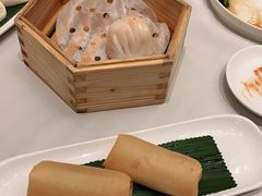 -粤江春·早茶·潮粤菜·宴会(罗湖宝能中心店)