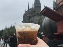 -哈利波特魔法世界