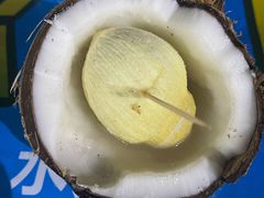-东郊椰林