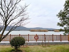 -尚湖风景区