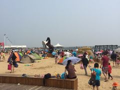 -碧海金沙