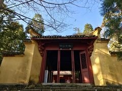 -天目山大树王景区