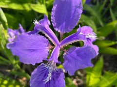 -上海滨江森林公园