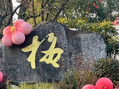 -无锡梅园公园
