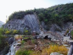 -后柳水乡