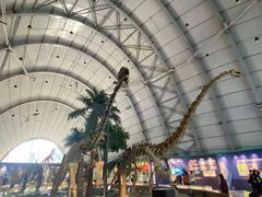 -辽宁古生物博物馆