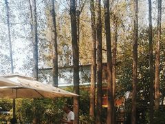 -林间山庄