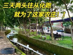 -亲子百果农庄