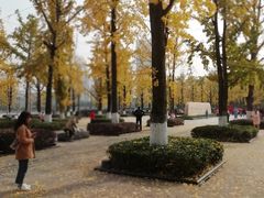-百林公园-两江幸福广场