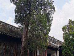 -汇龙潭