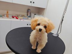 -comecome来吧宠物(奥克斯中心店)