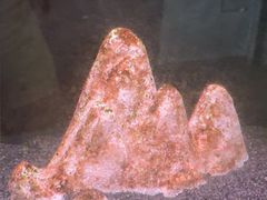 -星空密室·精选(天一豪景店)