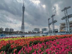-海心沙亚运公园