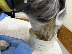 -美联众合动物医院·24h京西诊疗中心