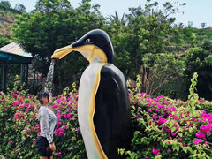 -芽庄珍珠岛游乐园