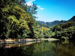 -青城山