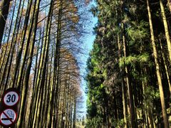 -山王坪喀斯特国家生态公园