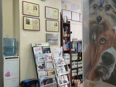 -宠物星动物医院·眼科·异宠·猫科(江南大道总院)