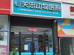 -瑞派·关忠动物医院·异宠专科·犬猫肿瘤·皮肤专科(望京店)