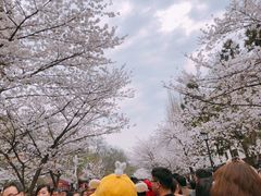 -UNI UNI(环亚凯瑟琳店)