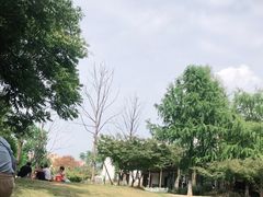 -大塘金香草谷