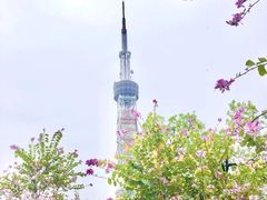 -广州市白云山风景名胜区