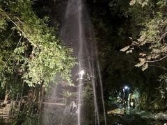 -绿光森林餐厅