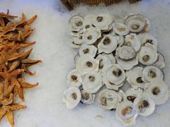 -阳光牧场自助餐厅(宝德购物中心店)