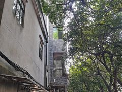 -小洲村