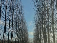 -白鹿原影视城
