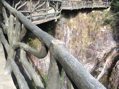 -花岩国家森林公园