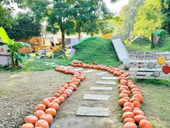 -HERRE·FARM 赫尔露营农场·团建聚会包场