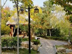 -汤泊温泉度假村